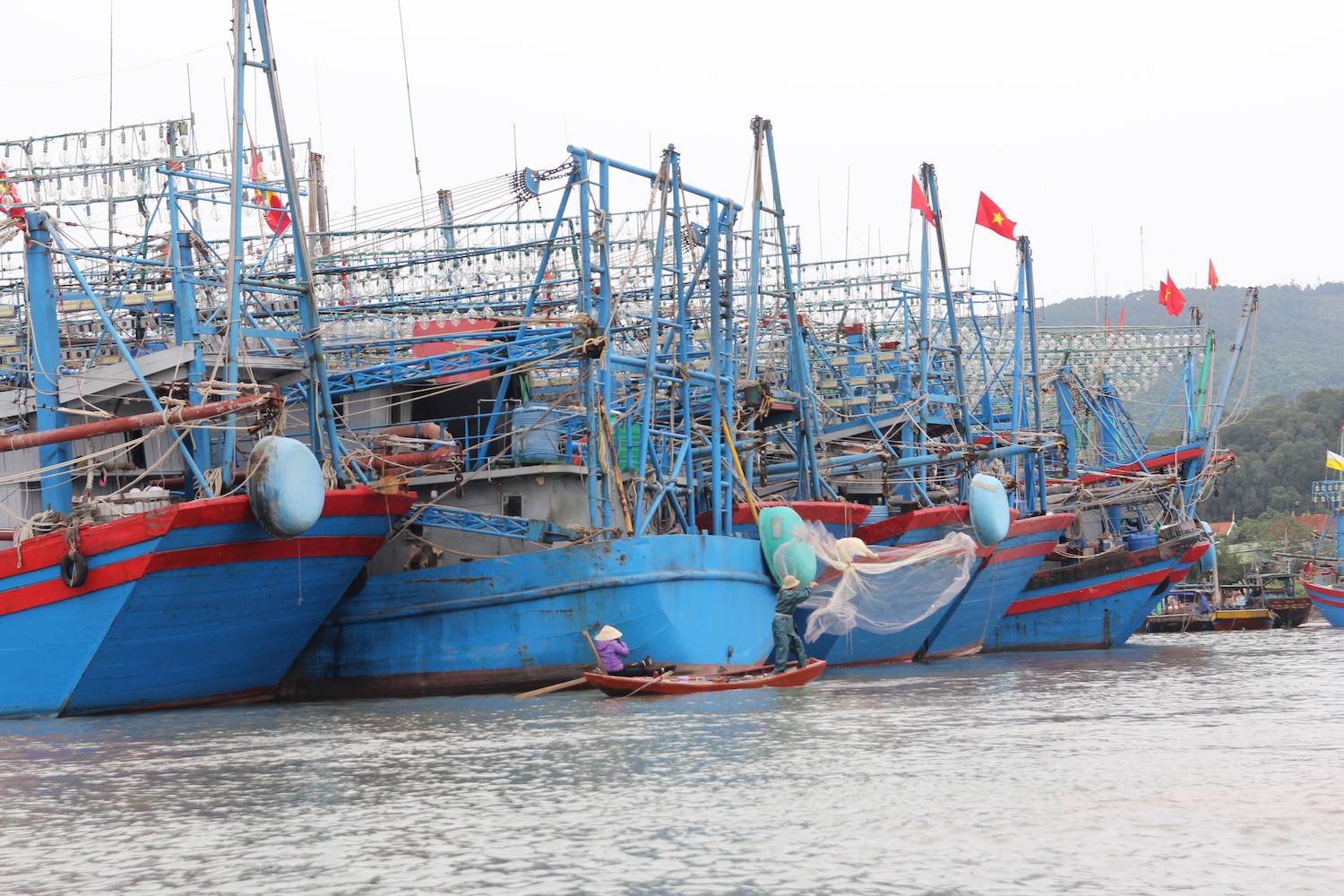 Dân sinh - Ngư dân trẻ không mặn mà với biển (Hình 4).