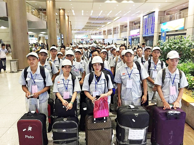 Trang bị sổ tay sức khỏe tử tước khi xuất khẩu lao động -0