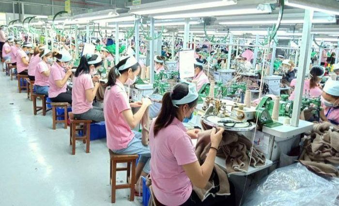 Nhiều ngành nghề có nhu cầu tuyển dụng cuối năm. Ảnh minh họa